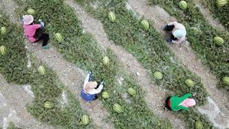 峡谷吃瓜群众在哪里改,揭秘游戏世界中的热议焦点