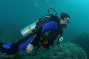 资深吃瓜群众潜水爱好者,潜水爱好者的水下奇遇记