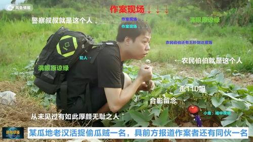 抓犯人的吃瓜群众叫什么,吃瓜群众见证正义瞬间