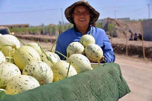 我要当吃瓜群众图片,一场全民参与的视觉盛宴