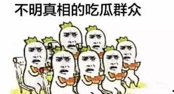 什么都不懂的吃瓜群众,揭秘吃瓜群众的无知世界