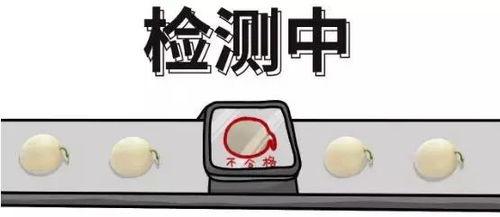 别人问你吃瓜群众还在吗,他们还在，且热度不减