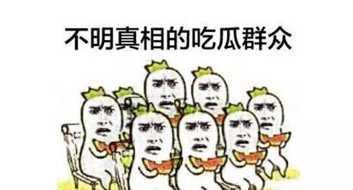 一个围观的吃瓜群众,围观吃瓜群众视角下的娱乐圈风云