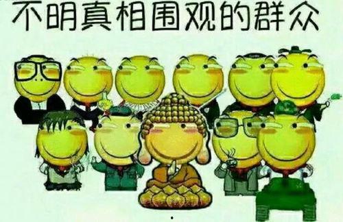 偶遇了吃瓜群众的说说心情,吃瓜群众的喜怒哀乐