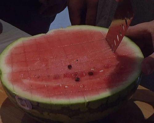 莎头吃瓜群众,揭秘娱乐圈幕后风云